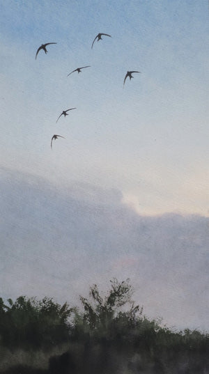 EVENT SWIFT AWARENESS WEEK  Artist Jonathan Pomroy -  Blues Skies and Swifts - SAT JULY 8TH 11 am - 4 pm
