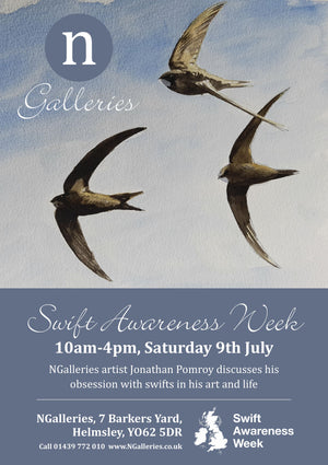 NGalleries supports Swift Awareness Week