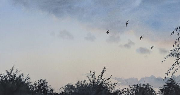 Swifts over the Garden, Gilling East. Print